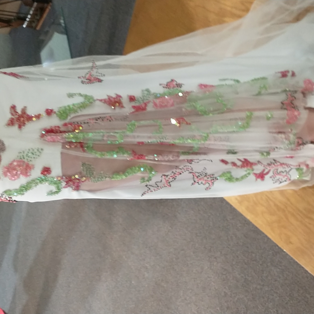 Prom dress - Picture 5 of 6